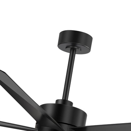 Breezary 65/52/42 5-Blade LED Ceiling Fan with Light Kit and Remote