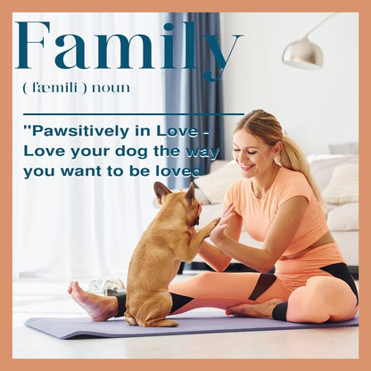 Roomfitters Dog Feeding Station with 2 Elevated Dog Bowls, Tilt Out Pet Feeding Cabinet Station